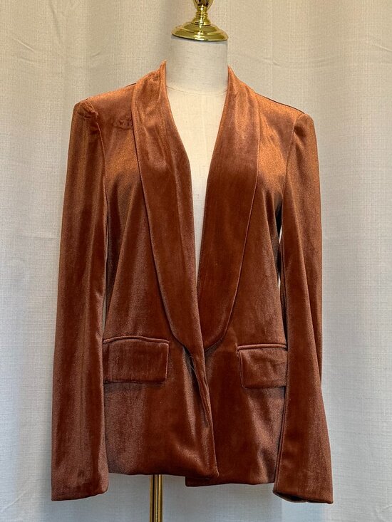 Romeo & Juliet Couture Jackets & Blazers - Romeo & Juliet Couture Velvet Blazer Burnt Orange Metallic Size Medium